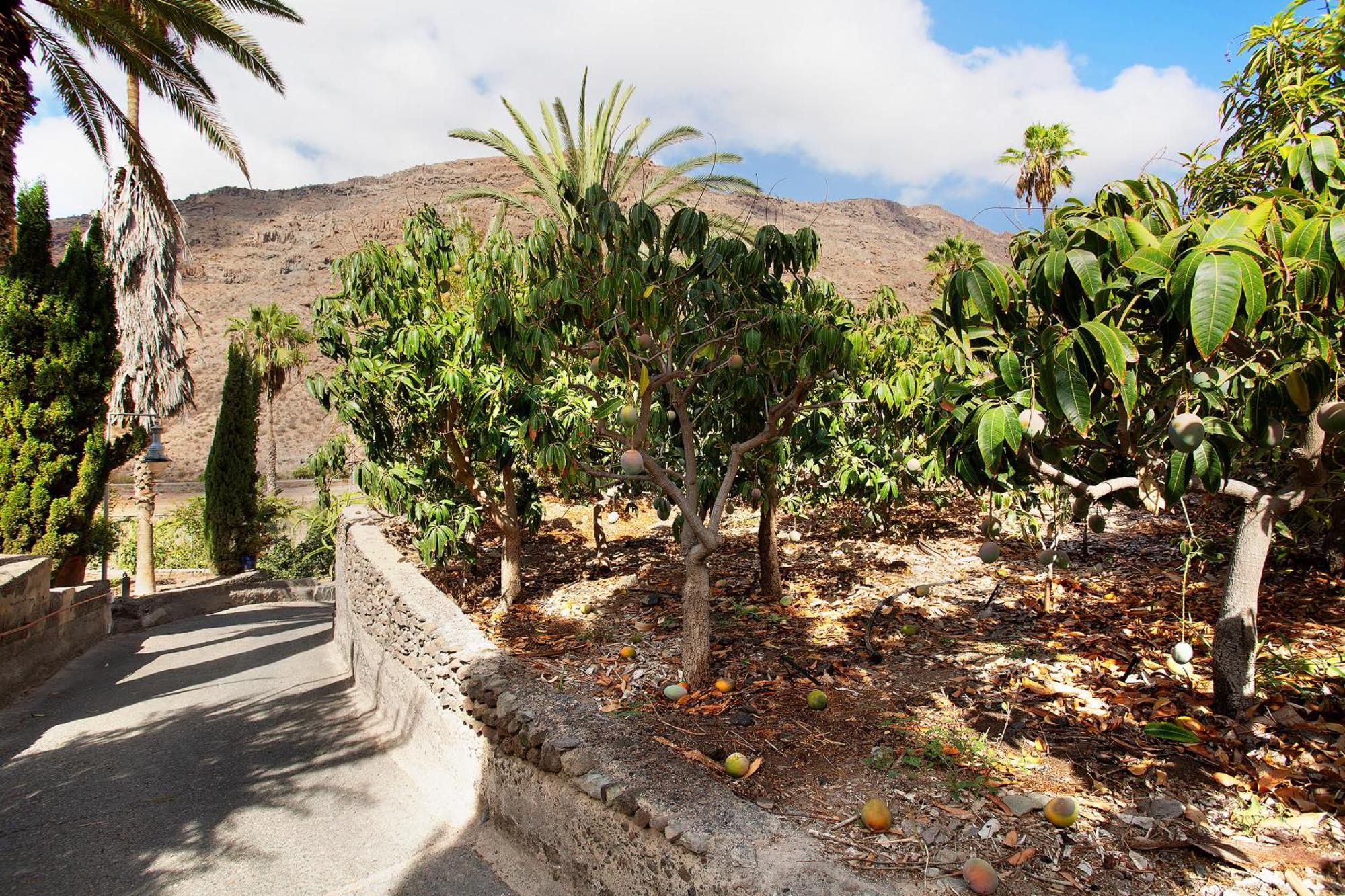 Casa Paraiso Del Molinero Villa Mogan Exterior photo